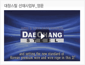 대창스틸 선재사업부 영문