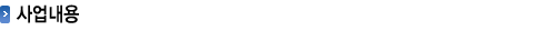 사업내용